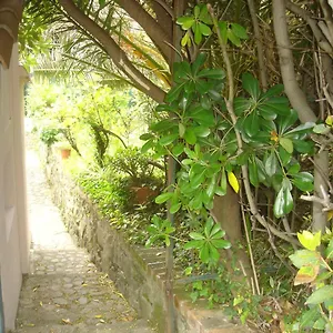 Casa vacanze Sunflower Cosy - Il Girasole